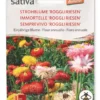 Semi di Semprevivo - Fiore Annuale