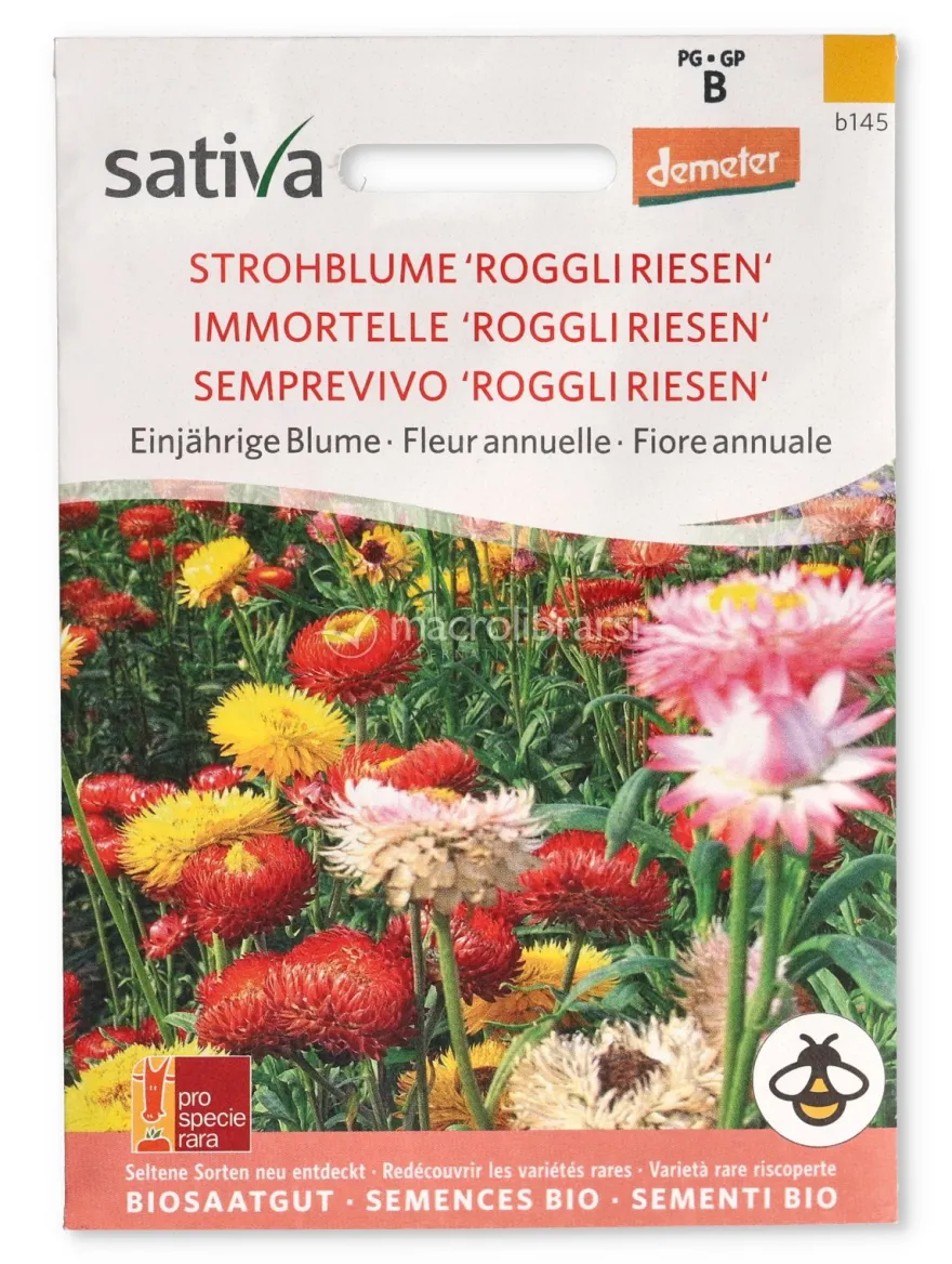 Semi di Semprevivo - Fiore Annuale