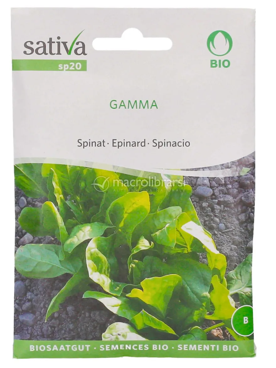 Semi di Spinacio Gamma