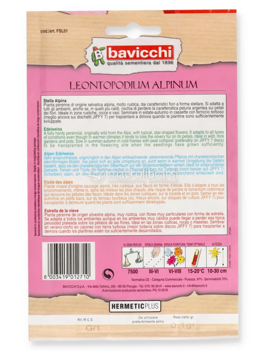 Semi di Stella Alpina - Leontopodium Alpinum