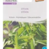 Semi di Stevia - 25 Semi
