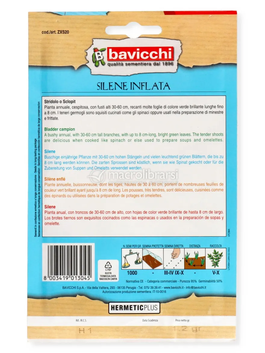 Semi di Stridolo o Sclopit - Silene Inflata