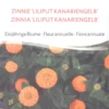 Semi di Zinnia Liliput Kanariengelb