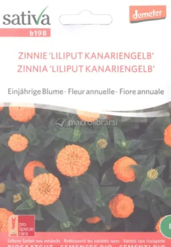 Semi di Zinnia Liliput Kanariengelb
