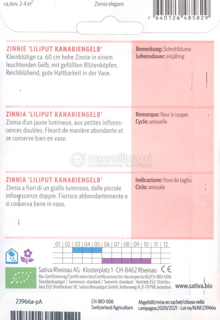 Semi di Zinnia Liliput Kanariengelb