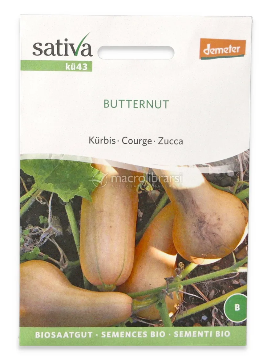 Semi di Zucca Bio - Butternut