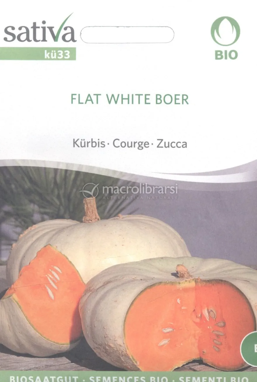 Semi di Zucca - Flat White Boer