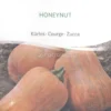 Semi di Zucca - Honeynut