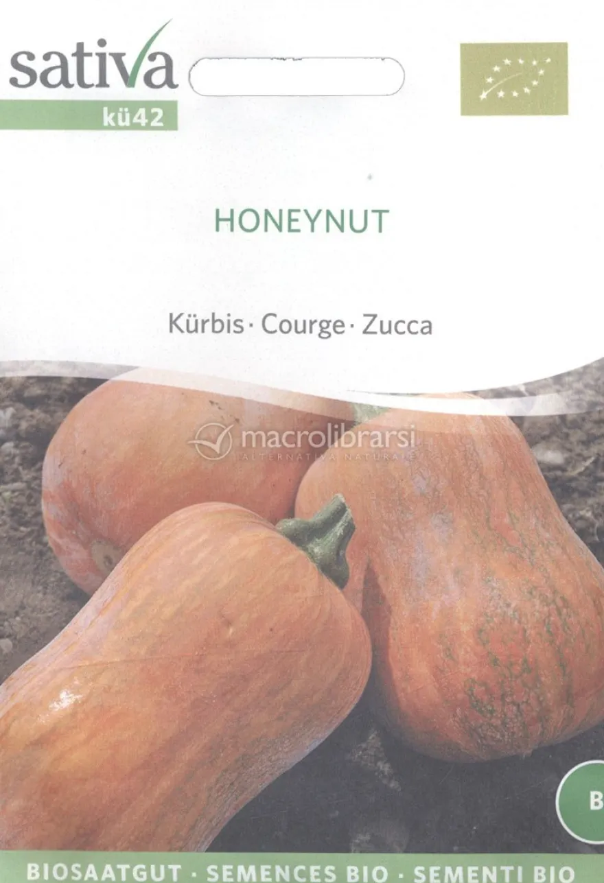 Semi di Zucca - Honeynut