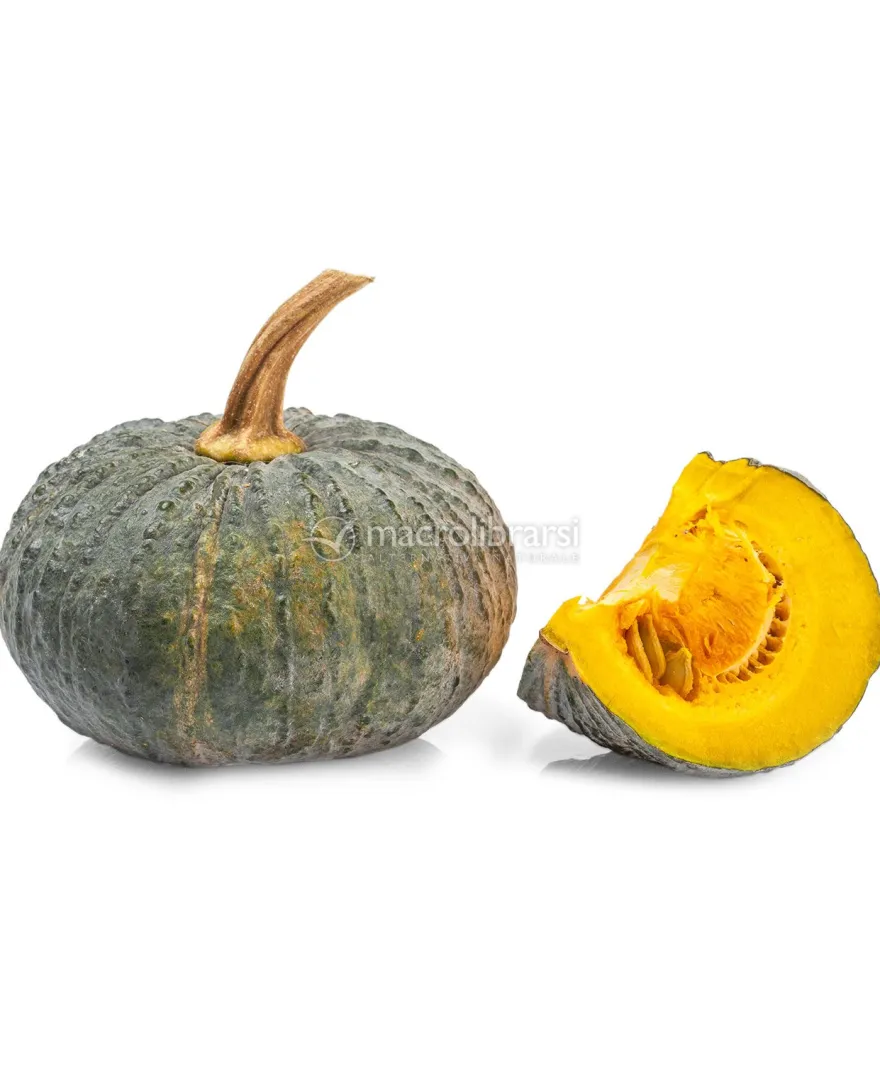 Semi di Zucca Marina di Chioggia