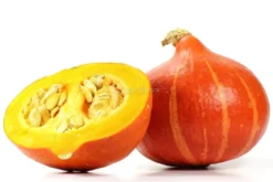 Semi di Zucca Red Kuri - BU095