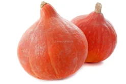 Semi di Zucca Red Kuri - BU095