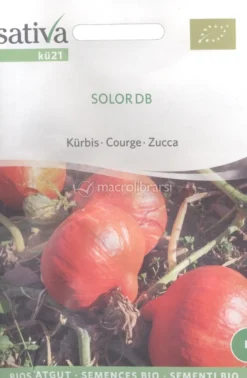 Semi di Zucca - Solor DB