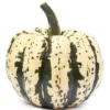 Semi di Zucca Sweet Dumpling