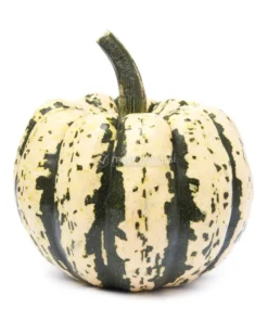 Semi di Zucca Sweet Dumpling