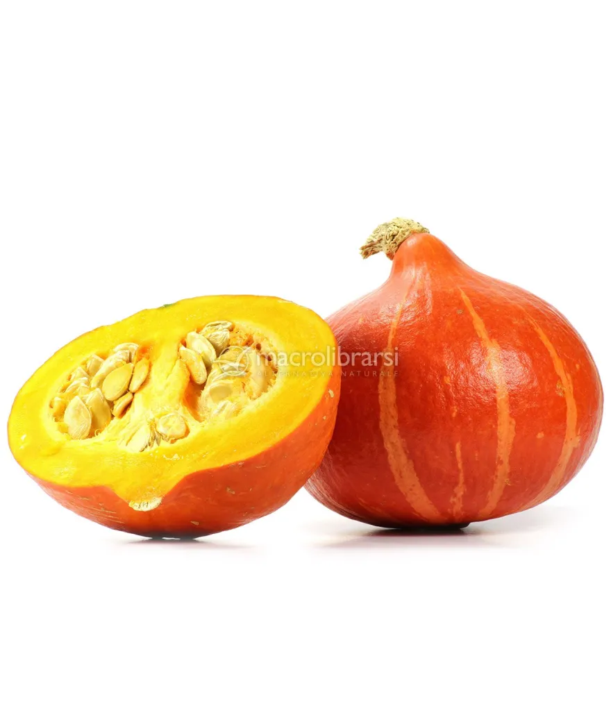 Semi di Zucca Uchiki Kuri