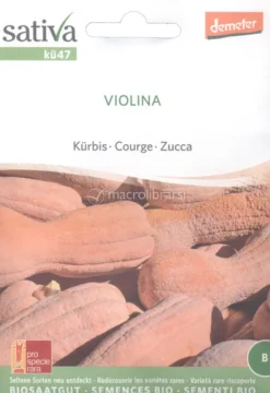 Semi di Zucca - Violina