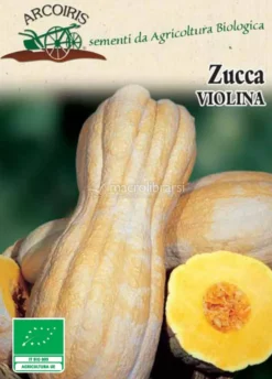 Semi di Zucca Violina - 4 gr - BU038