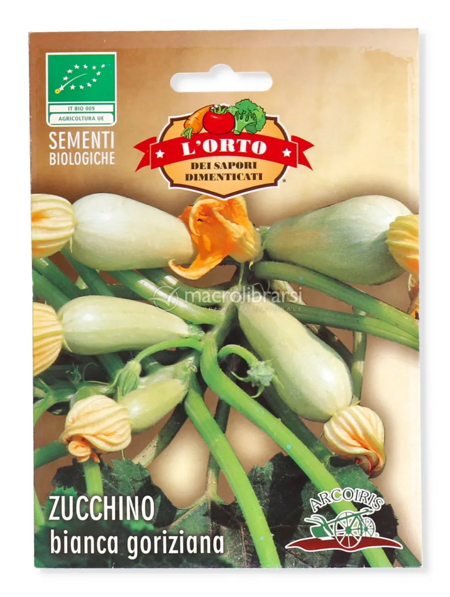 Semi di Zucchina Bianca di Goriziana