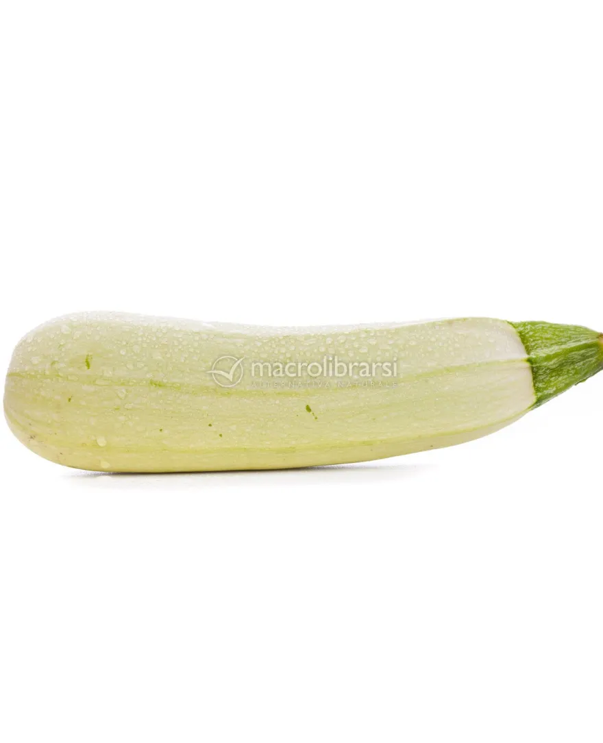 Semi di Zucchina Bianca di Goriziana
