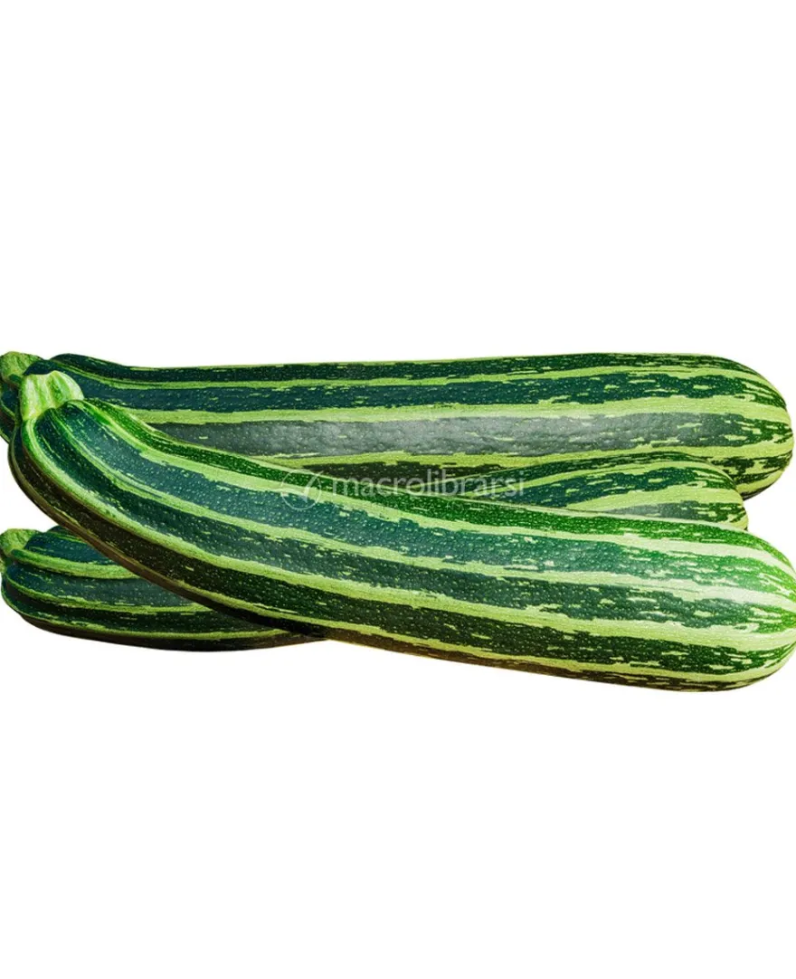 Semi di Zucchino San Pasquale Bio