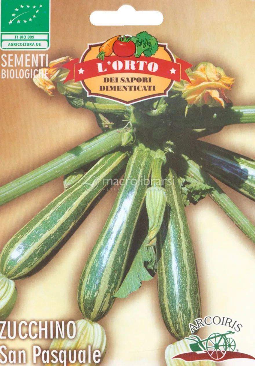 Semi di Zucchino San Pasquale Bio