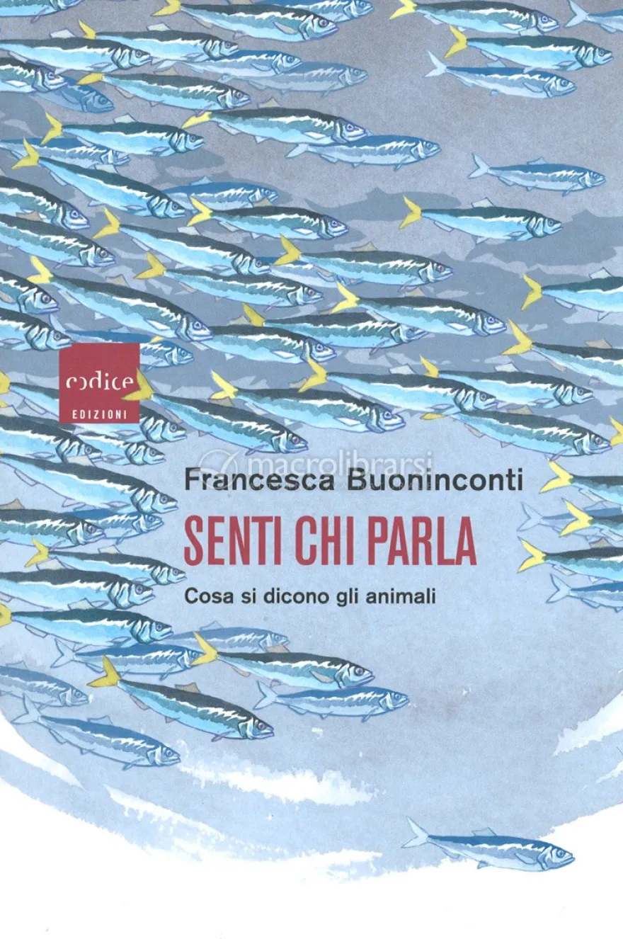 Senti Chi Parla