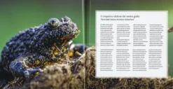 Sentieri Sostenibili - Parco Foreste Casentinesi