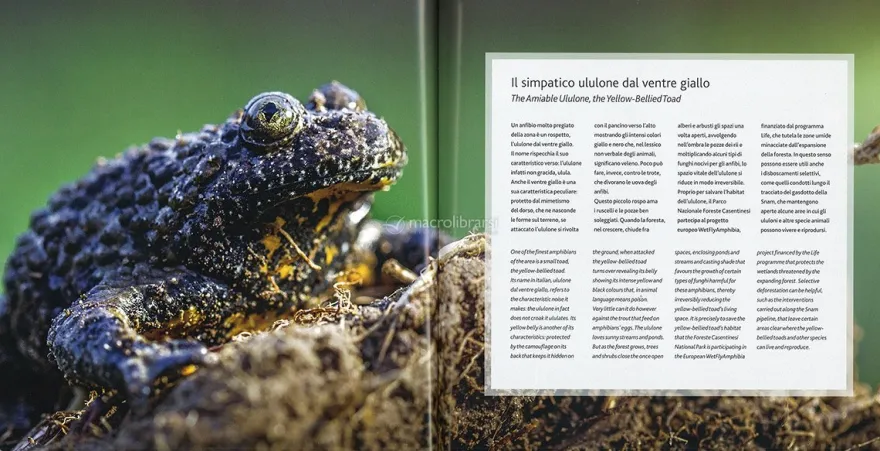 Sentieri Sostenibili - Parco Foreste Casentinesi