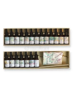 Set Completo Spirito degli Alberi in Gocce: 13 Pionieri + 7 Luminosi