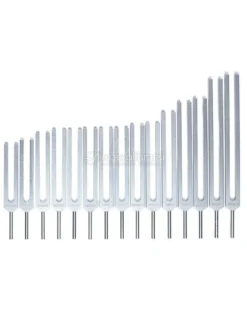 Set di Diapason Organi Umani