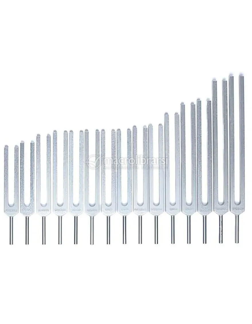 Set di Diapason Organi Umani