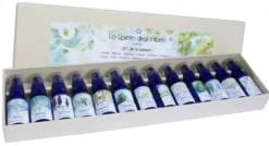 Set Spirito degli Alberi 13 Pionieri - Il Soffio