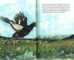 Sguardi nella Natura