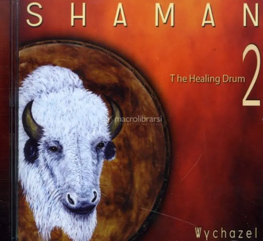 Shaman 2 - The Healing Drum