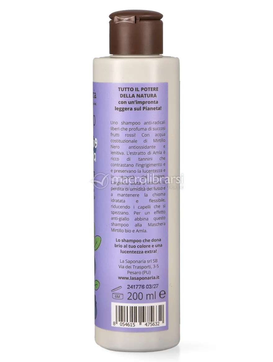 Shampoo Antiossidante - Mirtillo bio e Arginina
