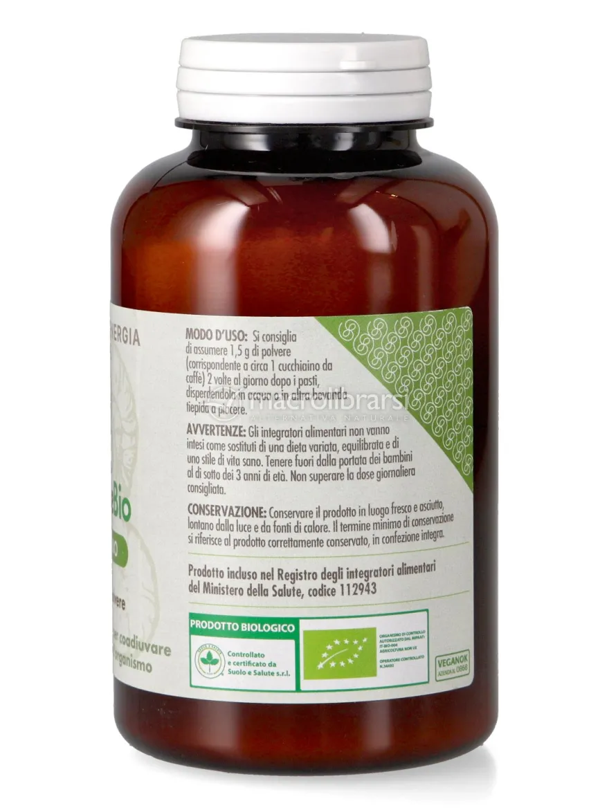 Shiitake Polvere Bio
