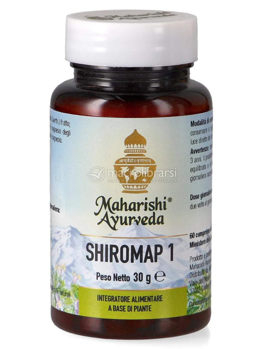Shiromap 1
