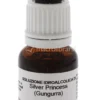 Silver Princess (gungurra) - Fiori australiani