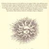Simbologia e Significato del Solstizio d'Inverno