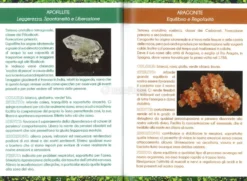 Sogni di Luce - I Minerali del Benessere