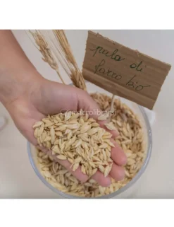 Sole - Cuscino in Cotone Bio e Pula di Farro Biologica