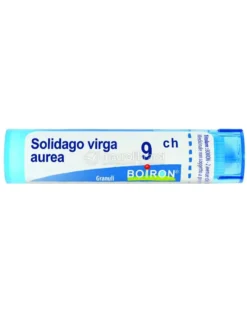 Solidago Virga Aurea 9CH Granuli Boiron