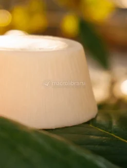 SolidOlio Bio Fresia
