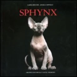 Sphynx