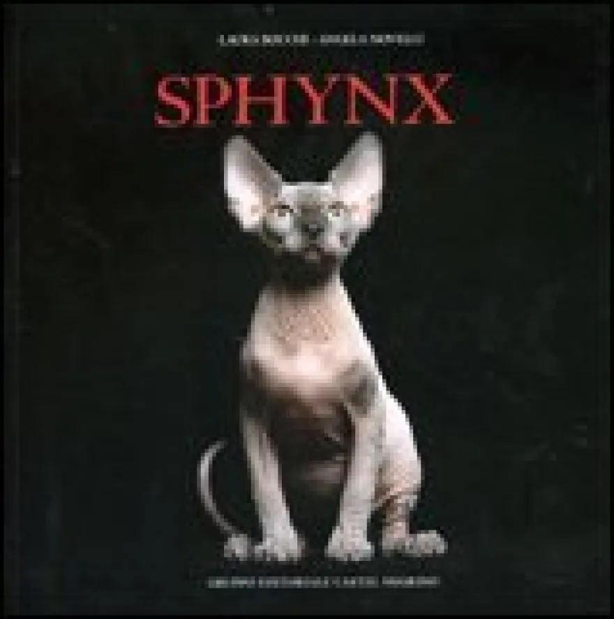 Sphynx