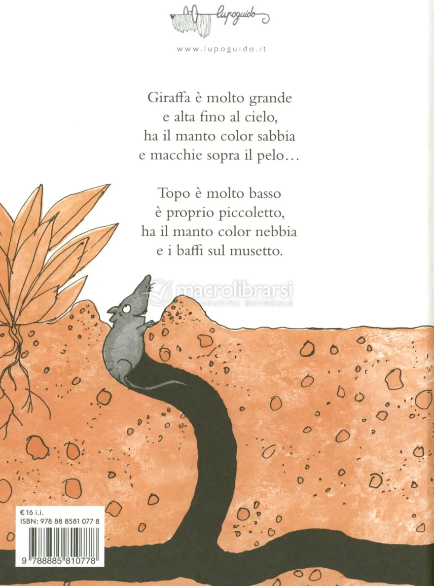 Spilunga e Piccino