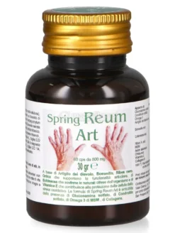 Spring Reum Art