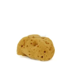 Spugna Fine Dama Lavata 3/4g - XS