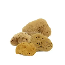 Spugna Fine Dama Lavata 3/4g - XS